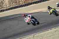 Laguna-Seca;event-digital-images;motorbikes;no-limits;peter-wileman-photography;trackday;trackday-digital-images